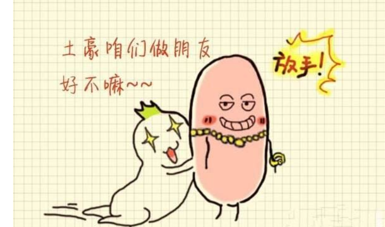 女土豪玩家对抗传奇神豪8L