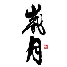 岁月合击