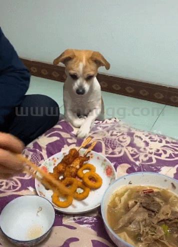 为何吃肉了~还没有亏钱玩的开心?