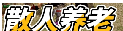 QQ截图20250905203734.png